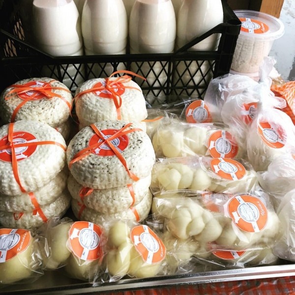 Производство сыра в сыроварне Форком Производство сыра в сыроварне